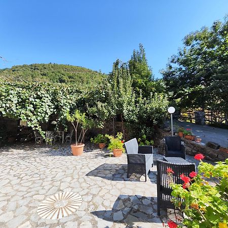 Il Vigneto Villa Tramonti Ngoại thất bức ảnh