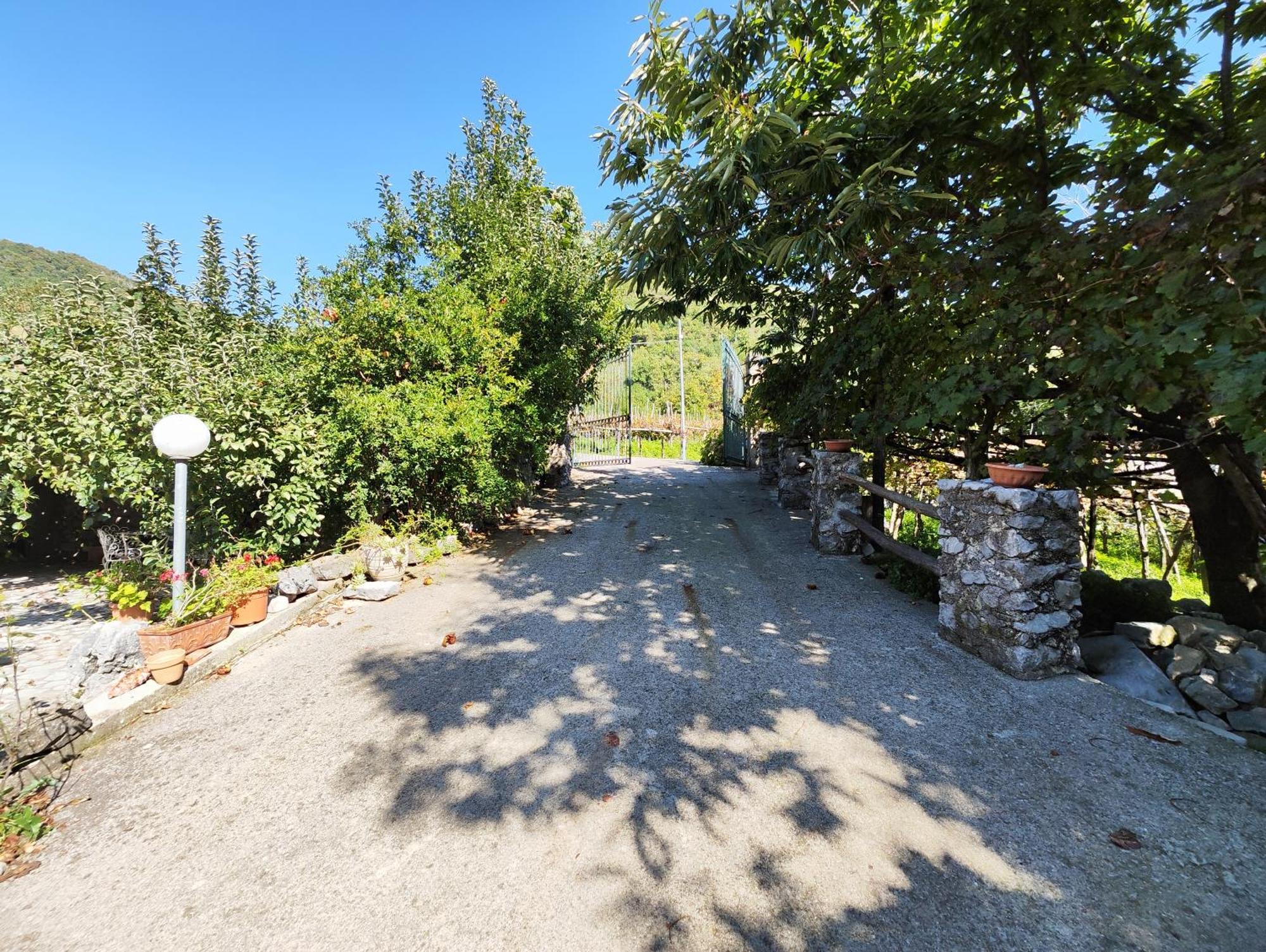 Il Vigneto Villa Tramonti Ngoại thất bức ảnh